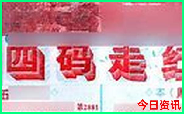 香港码走势
